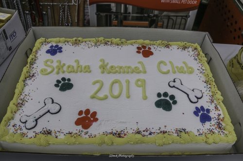 2019 Show Pictures